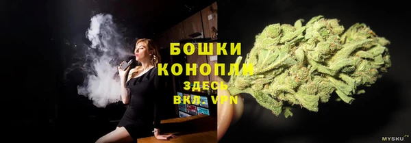 дмт Армянск